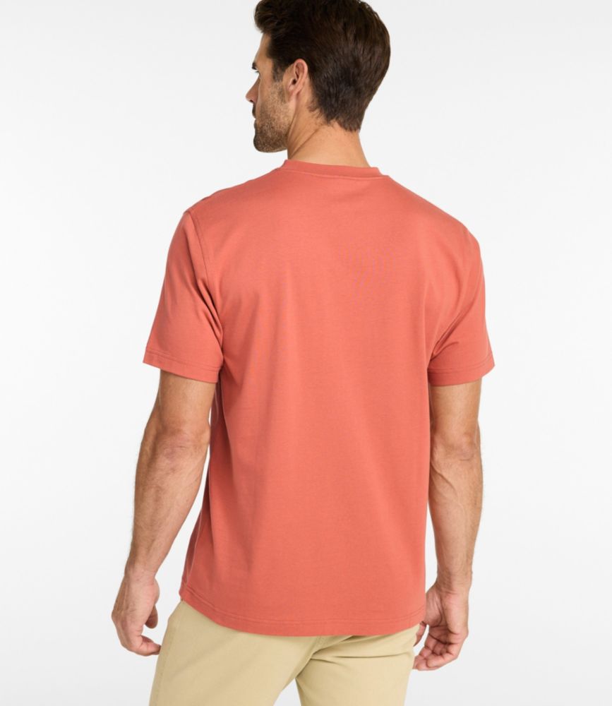 Men's Carefree Unshrinkable Tee, Traditional Fit, Henley - US 9778