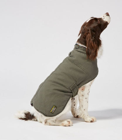 Reversible Field Coat for Dogs - US 6368