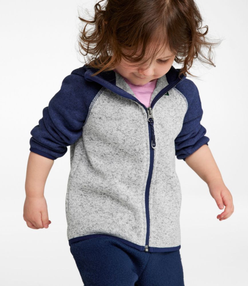 Infants' and Toddlers' L.L.Bean Sweater Fleece, Hooded Colorblock - US 9843